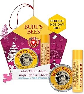 A Bit of Burt's Bees Beeswax Lip Balm and Hand Salve Gift Set, Natural Origin Skin Care and Lip Care, 2-Piece Set, 0.15 oz./0.3 oz.